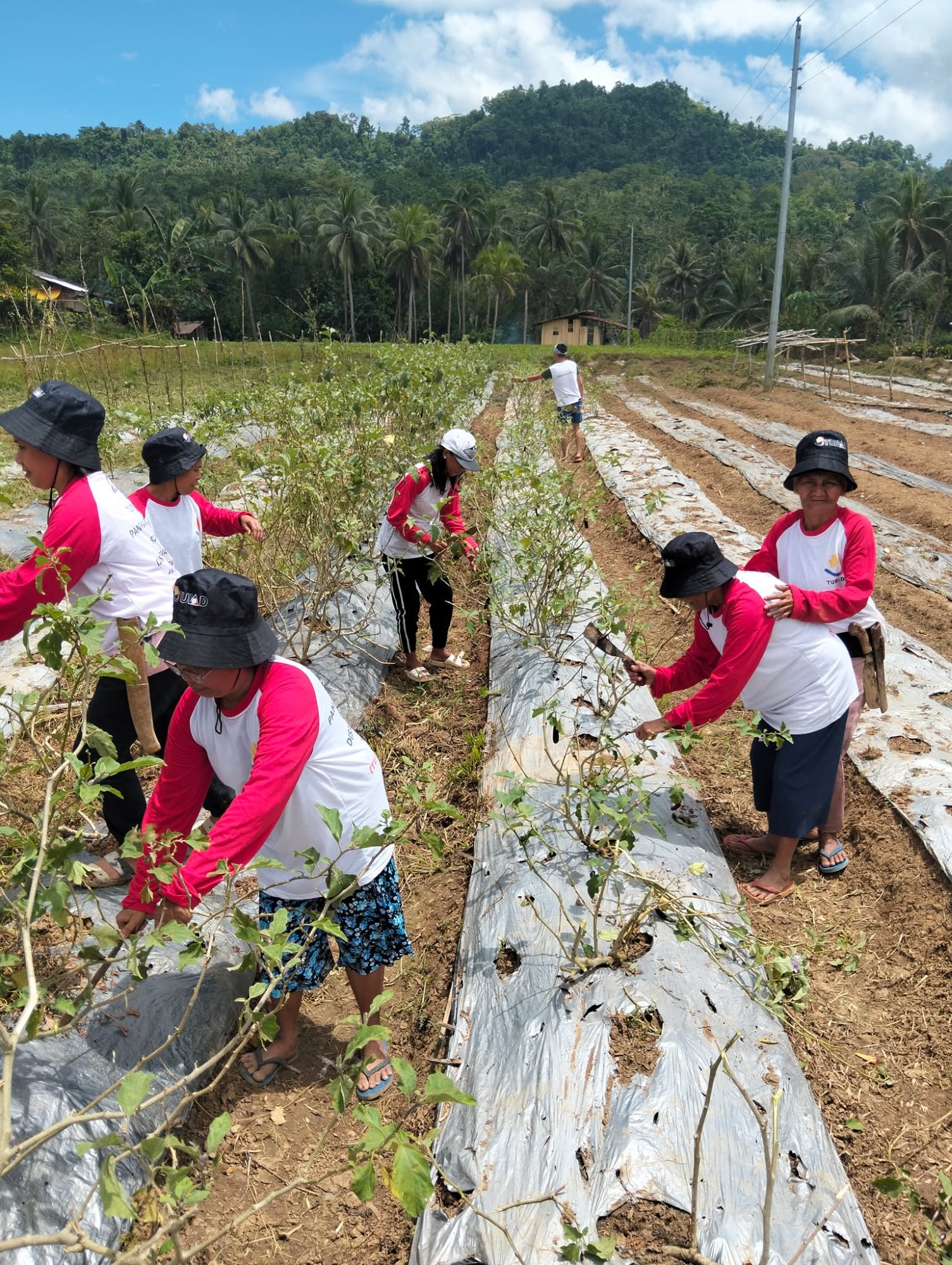 APACO farmers working together