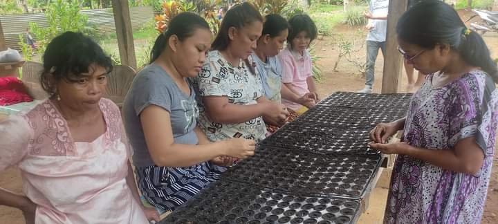 Women community members propagating seeds